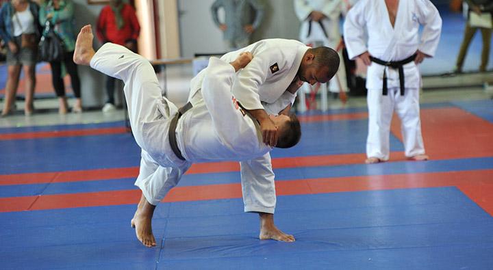 judo-et-les-adultes.jpg